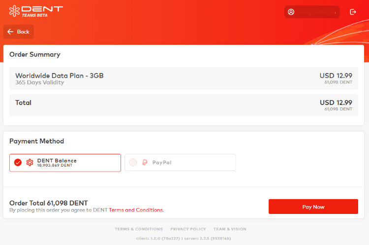 DENT Teams Checkout page next screen